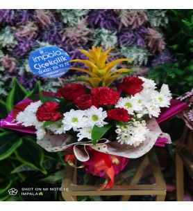 Saksı Çiçeği Guzmania+Kesme Çiçekler